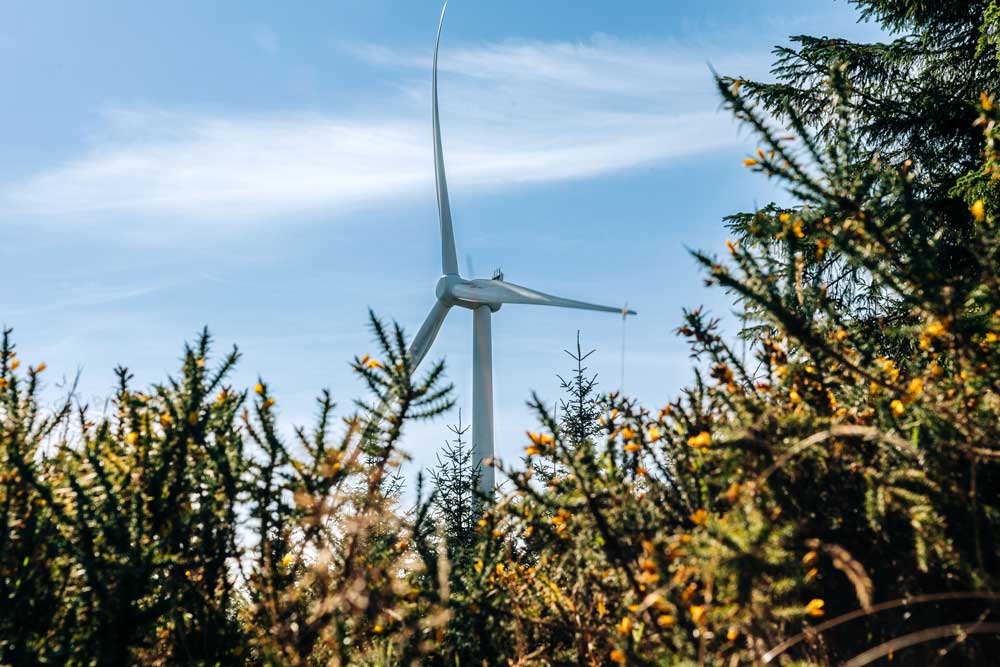 FEI Turbine